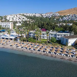 mio-mare.aegeanhotels.net/