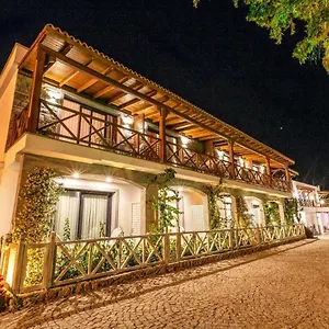 https://mausolos-beach-hotel.aegeanhotels.net